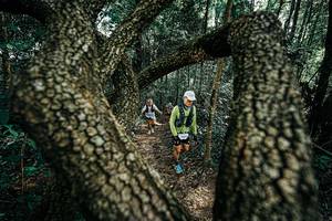 BIB: 
                            <button type="button" onclick="openModal(25392499)" class="btn btn-primary btn-sm float-right btn-popup" data-toggle="modal" data-target=".modal-high-quality">
                        <i class="fas fa-shopping-cart"></i> Add to Cart
                    </button>
                                            <button type="button" onclick="isThisMe(25392499, true)" class="btn btn-success btn-sm float-right btn-popup btn-isme hidden" data-toggle="tooltip" data-placement="bottom" title="นี่คือรูปของคุณใช่ไหม คลิกที่นี่เพื่อเอาเข้าอัลบั้ม">
                        <i class="fas fa-plus"></i> Add to album
                    </button>
                    <button type="button" onclick="isThisMe(25392499, false)" class="btn btn-warning btn-sm float-right btn-popup btn-isnotme hidden">
                        <i class="fas fa-ban"></i> Remove from album
                    </button>